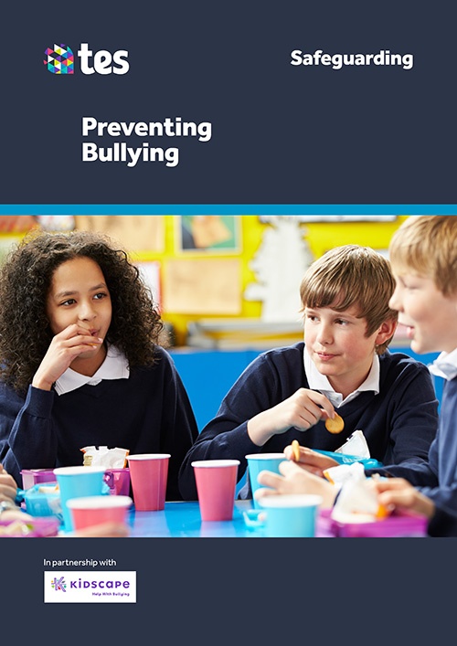 Preventing Bullying